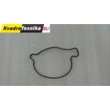 Прокладка уплотнительная крышки водяного насоса резина Stels UTV 800 Dominator LU049888 (130707-001-0000)